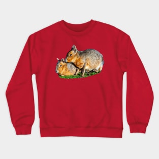 Mara Cuddles Crewneck Sweatshirt